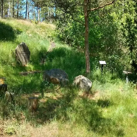 Дом отдыха 6 Person In Farvang-by Traum